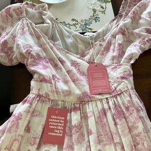 NWT Ivy City Co Medium Dress